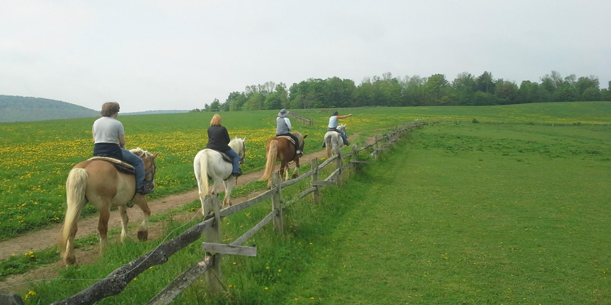 Exploring Tioga Trail Rides Exploring Tioga Trail Rides: An Adventure in Canyon Country, Pennsylvania