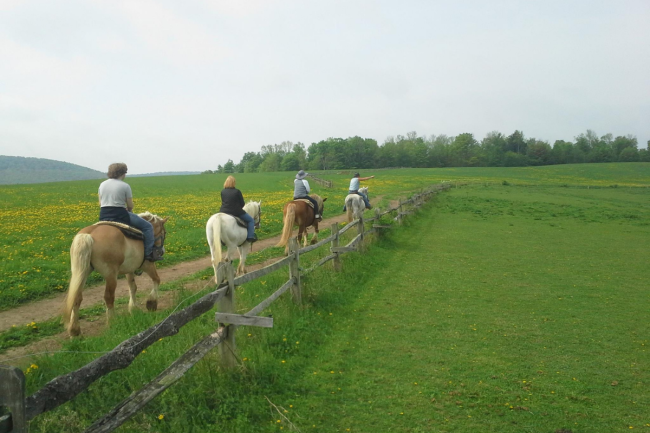 Exploring Tioga Trail Rides Exploring Tioga Trail Rides: An Adventure in Canyon Country, Pennsylvania