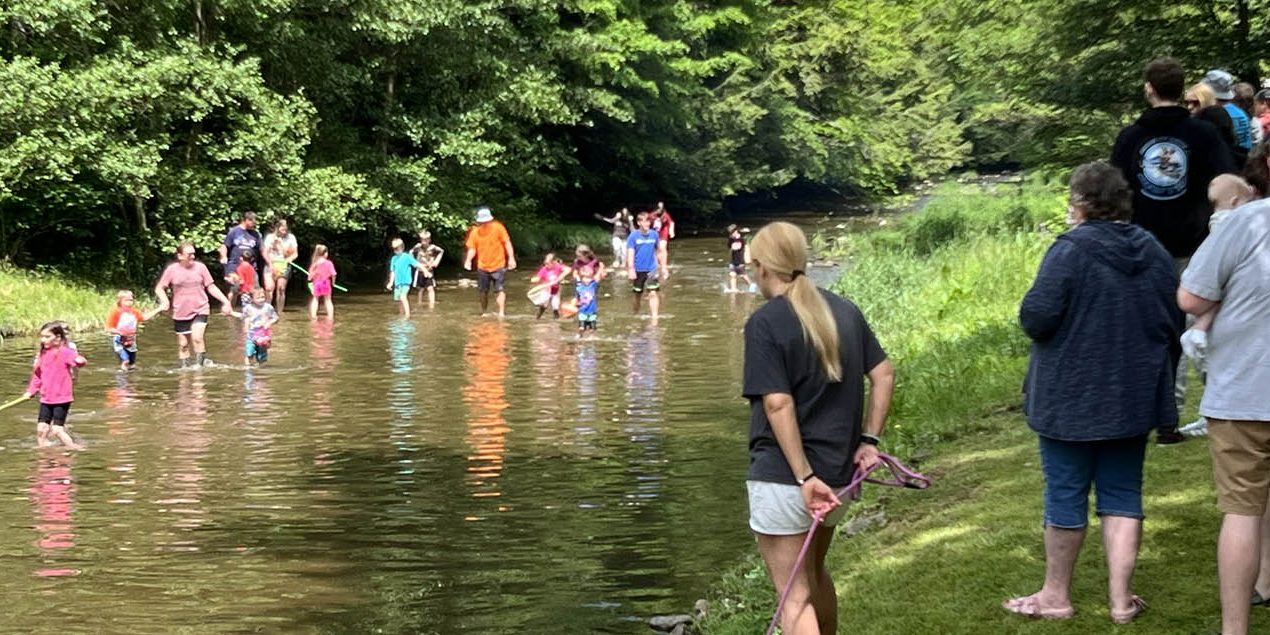 Stony Fork Creek Campground Stony Fork Creek Campground