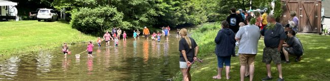 Stony Fork Creek Campground Stony Fork Creek Campground