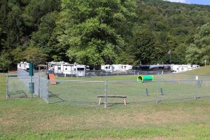 Dog park at Stony Fork Creek Campground in Wellsboro PA
